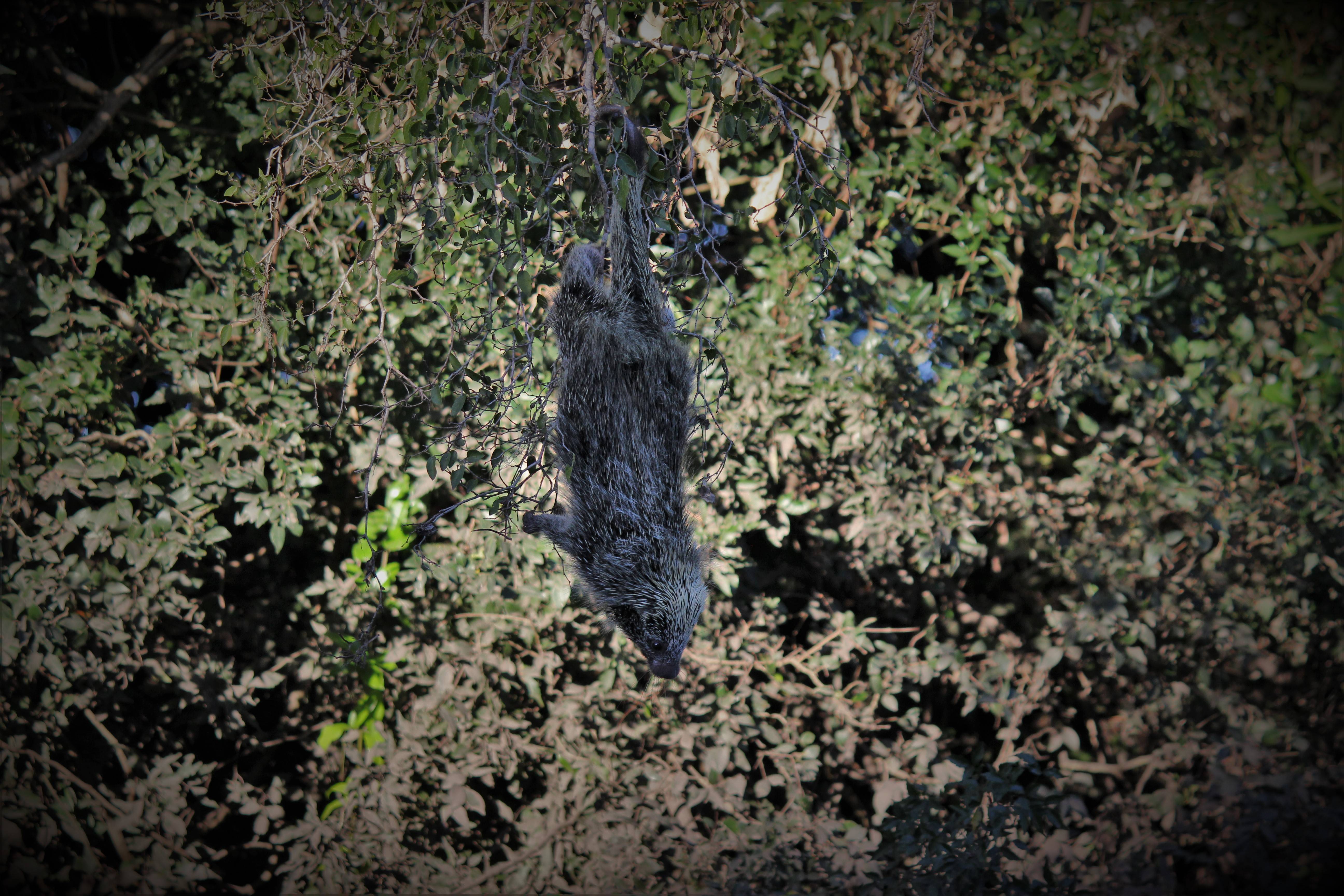 Viv&iacute; Uruguay - Naturaleza y cultura -  Uruwild.